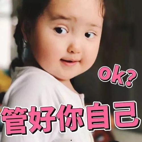 水调歌头表情包